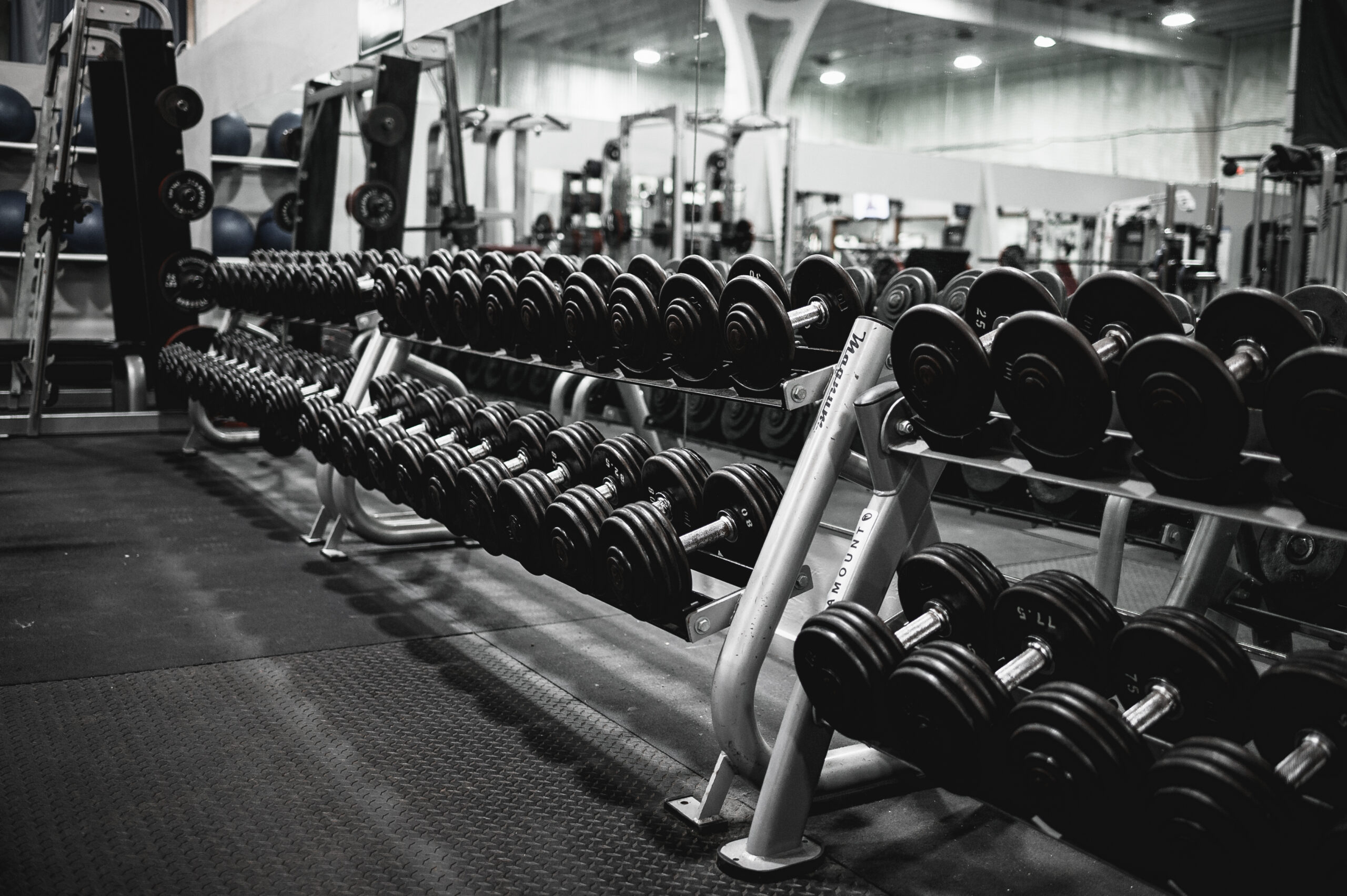Standard Membership